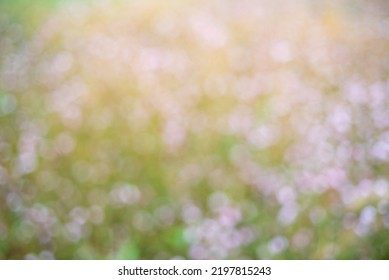 Hazy Flower Sea Spot Background Material