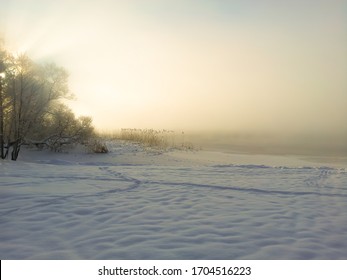 Hazy Ice Cold Winter Sunset Landscape With Snow, Tree And Fog Over Frozen Lake.