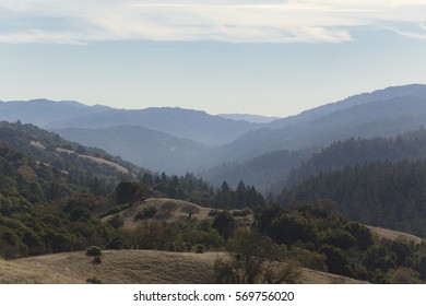 Hazy Morning In A Canyon In Monte Bello Preserve In The Mountains Above Palo Alto