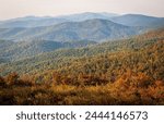Hazy Morning Overlook at Shenandoah National Park along the Blue Ridge Mountains in Virginia, USA