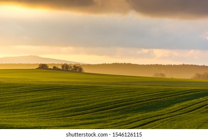 hazy rural evening landscape with golden light and group of trees in the distance. grey hills in the background and field with fresh green in foreground - Powered by Shutterstock