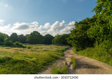 Hazy Summer Afternoon On A Meadow Lined Country Lane In England