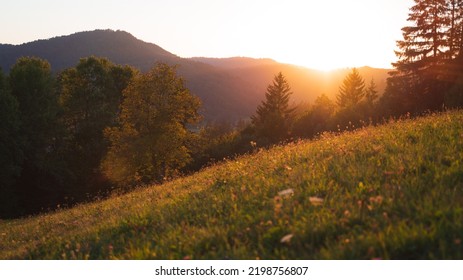 Hazy Summer Sunset In The Unspoiled Nature 