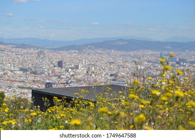 Hazy view across a sprawling Mediterranean city, with out of focus yellow flowers in the foreground. Mountains are visible in the background. 