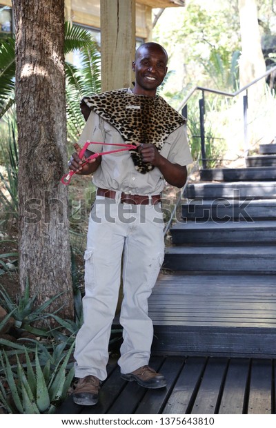 HAZYVIEW, SOUTH AFRICA -\
OCTOBER 1, 2018: Lodge employee protects tourists from monkeys with\
slingshot in Singita lodge located in Sabi Sands Game Reserve,\
South Africa