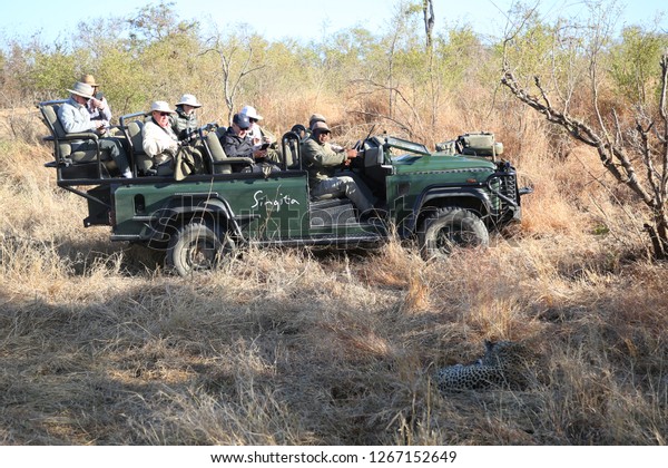 HAZYVIEW, SOUTH AFRICA - SEPTEMBER 30, 2018:\
Tourists in safari vehicle observing African leopard in Sabi Sands\
Game Reserve, South\
Africa