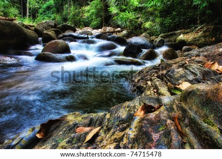 hdr image of water stream in the middle of the jungle