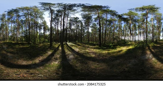 4,112 Forest Vr Images, Stock Photos & Vectors | Shutterstock