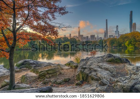 Similar – Image, Stock Photo in central park
