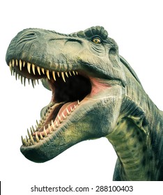 head ancient dinosaur tyrannosaurus on a Isolated white background