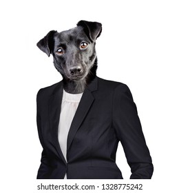 Head Of Black Dog In Human Suit Isolated On White