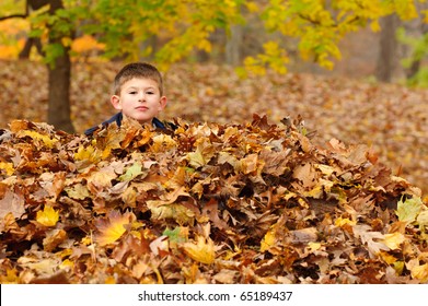 Head of a boy sticking out of a pile of leaves in horizontal