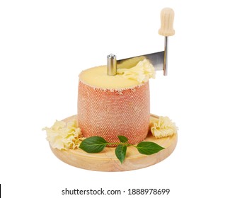 Head Of Cheese Tete De Moine On Girolle Isolated On White Background