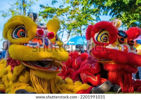 A head of Chinese Lion dance in the Chinese new year festival. Lion and dragon dance during Chinese New Year celebration. Group of people perform a traditional lion dance.