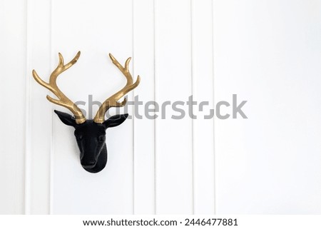 Similar – Image, Stock Photo Wall sculpture deer skull vase with roses