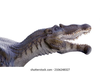 Head of dinosaur statue growling and open mouth isolated on white background ( clipping path )