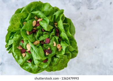 Head of fresh butter lettuce with sliced almond and dried cranberry salad topper, in a white bowl on a white and gray marble background
