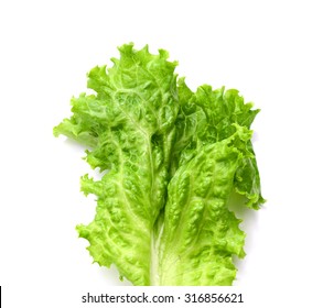 Head Of Fresh Crispy Leafy Green Californian Lettuce Isolated On White Viewed From Above To Be Used As A Healthy Salad Ingredient And Garnish