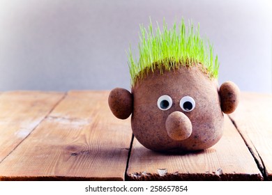 Head with grass on top on wooden table