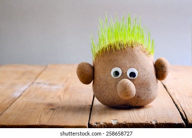 Head with grass on top on wooden table