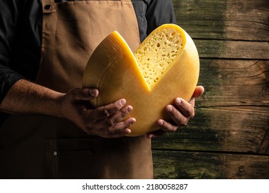 A Head Of Hard Cheese In Man's Cheesemaker Hands. Delicious Dairy Products. Cheese Maasdam With Big Holes,