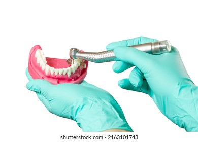 Head of high-speed dental handpiece with bur and a layout of the human jaw in dentist's hands on the white isolated background. Dental instruments for dental treatment. Close-up view.