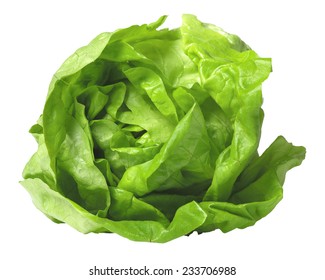 Head Of Lettuce Isolated On White Background