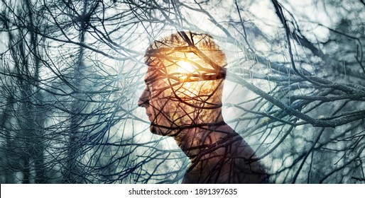 Head Of A Man On Background Of Trees In Forest. Concept On Topic Of Psychology, Psychiatry, Depression. The Branches Of Trees Symbol Problems And Diseases And Sun Is A Symbol Of Hope And Recovery.