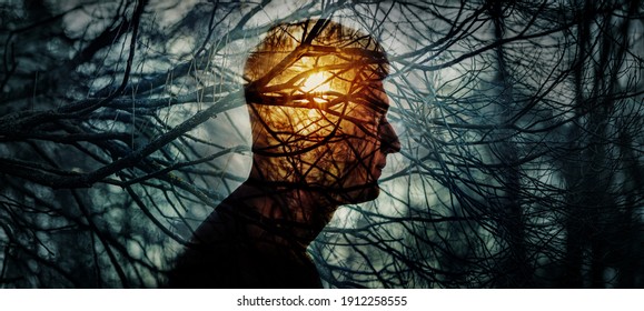 Head of a man on background of trees in forest. Concept on topic of psychology, psychiatry, depression. Branches of trees symbolise problems and diseases, and the sun is a symbol of hope and recovery.
