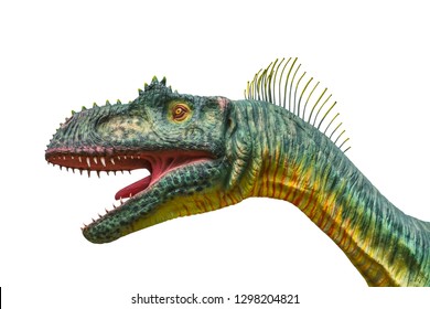 Head of Megalosaurus is a carnivorous genus of large meat-eating theropod dinosaurs of the Middle Jurassic period isolated on white background with clipping path