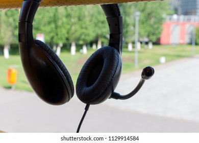 head notes nature 