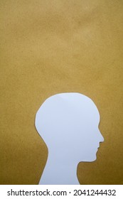 head photograph basic for illustration