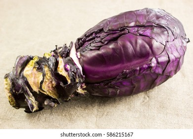 Head Red cabbage on burlap