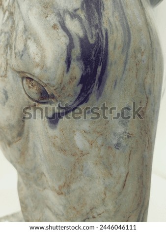Head sculpture horse on white background. White stone marble art.