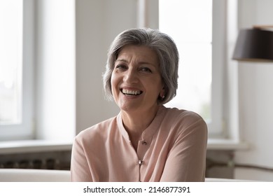 Head shot attractive older woman sitting indoor having wide toothy smile looks posing at camera. Good-looking pretty mature grey-haired female, healthy retired person portrait, optimistic mood concept