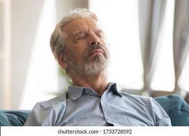 Head Shot Close Up Peaceful Serene Hoary Middle Aged Mature Man Relaxing On Comfortable Couch With Closed Eyes. Happy Senior Old Retired Grandfather Sleeping, Enjoying Stress Free Time On Sofa.