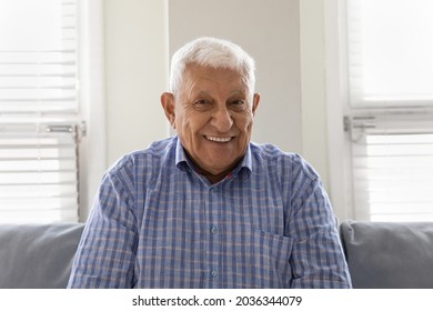 Head shot of happy older 80s man looking at camera with toothy smile. Grey haired grandpa of elderly age sitting on couch, making video call from home, laughing. Screen view portrait - Powered by Shutterstock