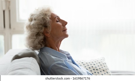 Head Shot Profile Close Up Peaceful Older Woman Sleeping, Relaxing On Comfortable Couch With Closed Eyes, Calm Lazy Mature Female Enjoying Free Time, Weekend, Resting In Living Room