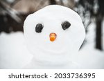 Head of a snowman figure with stony eyes and a carrot nose, snowy garden background