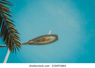 Head of streetlight, decorated with real palm leaf and funny head of white gull, view from below. Blue sky background, flat lay.