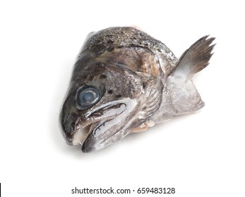 Head Of Trout Fish Isolated On White Background