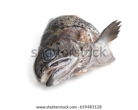 Head of trout fish isolated on white background