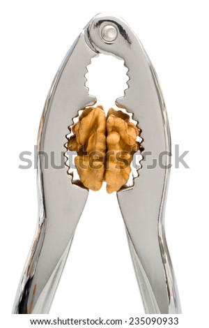 HEADACHE 2 A nutcracker pressing the kernel of a walnut, instead of the walnut. 