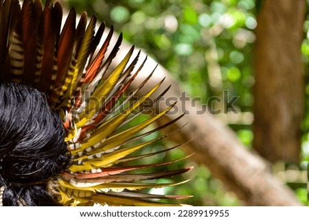 headdress of yellow feathers, Indian in the forest with headdress of yellow feathers
