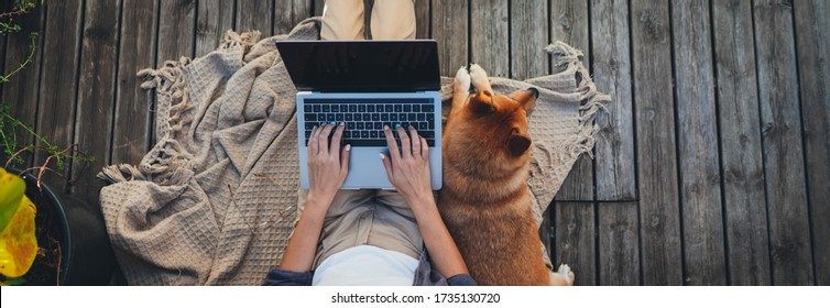 Header for website of young woman sitting on woodern terrace at home with dog using modern laptop device, Website banner
