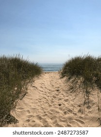 Heading down to the beach through the grass