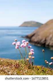 Headland On The Llyn Peninsula