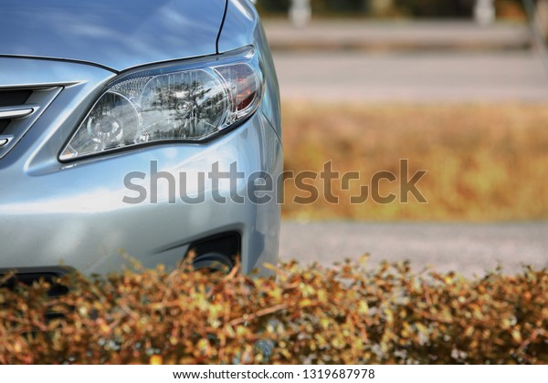 headlight of eco\
car, vehicle parking in\
nature