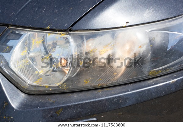 The headlights of the car in spots\
from insects, beetles, mosquitoes, butterflies. Close-up\
