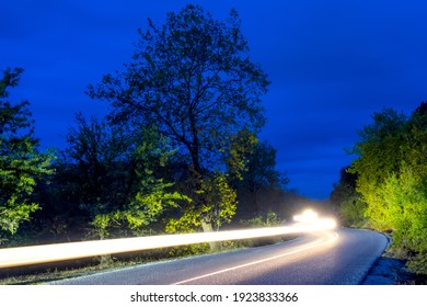 Headlights Illuminate An Empty Road In A Summer Night Forest. Long Winding Headlight Trails